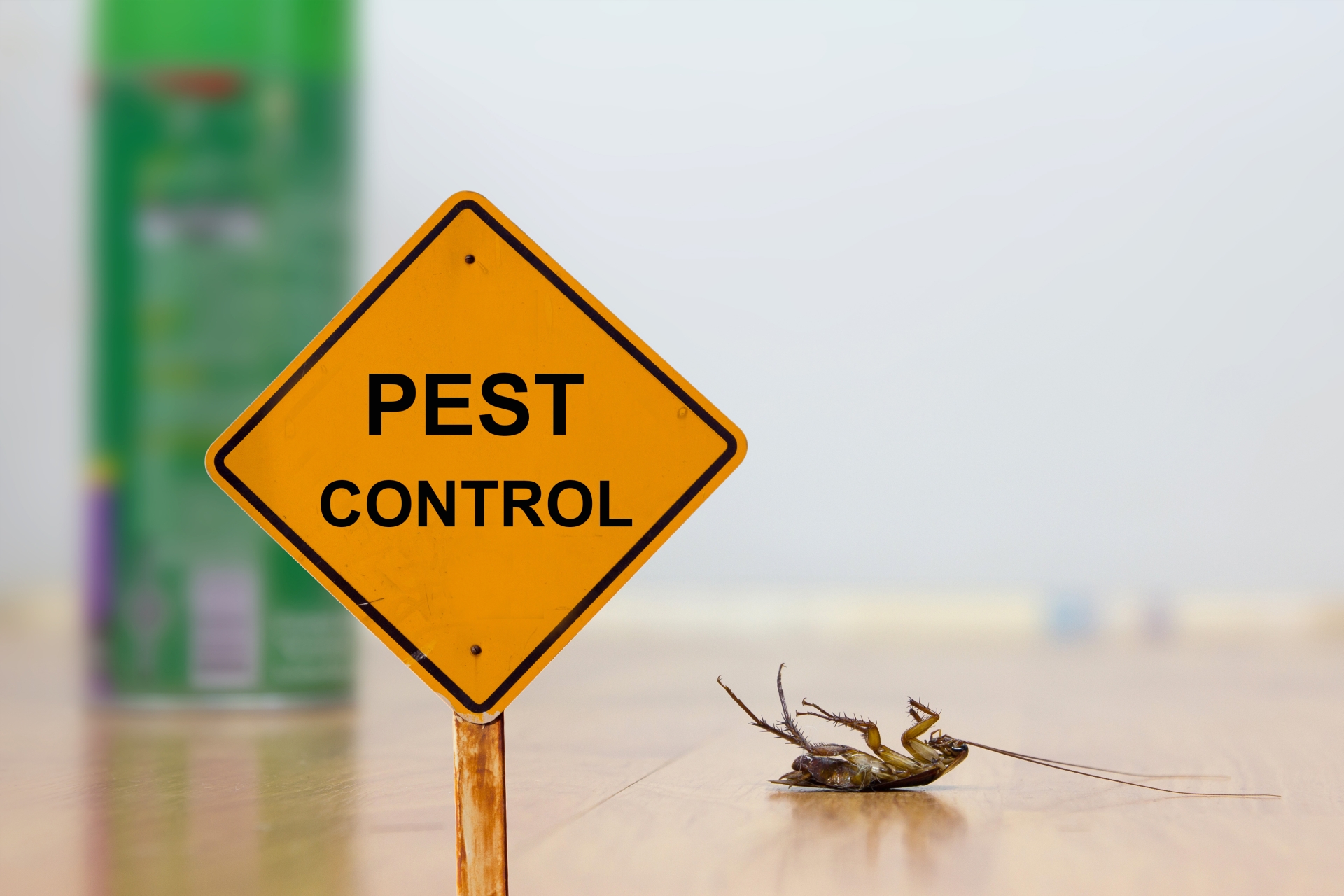 24 Hour Pest Control, Pest Control in Tufnell Park, N19. Call Now 020 8166 9746